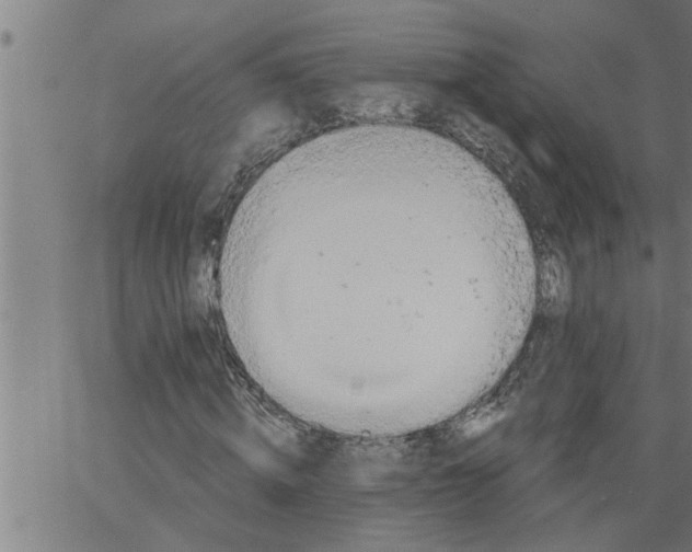 X0000066530820200603311817