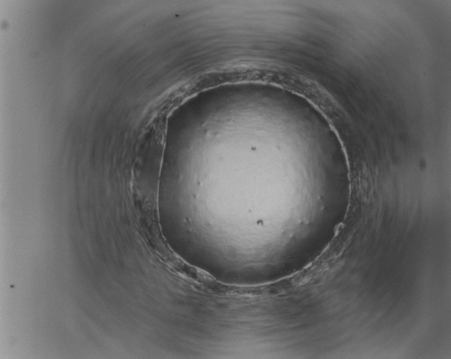 X0000066530821200603311817