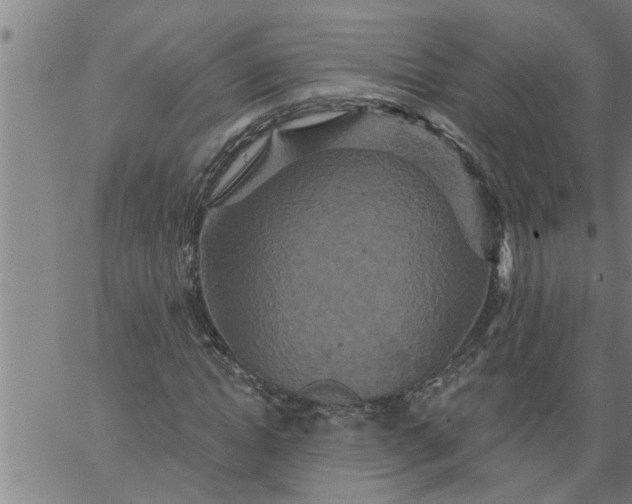 X0000066530822200603311817