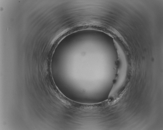 X0000066530826200603311817