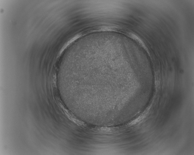 X0000066530827200603311818