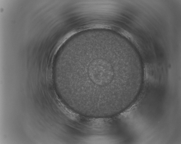 X0000066530828200603311818