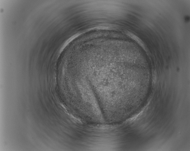 X0000066530829200603311818