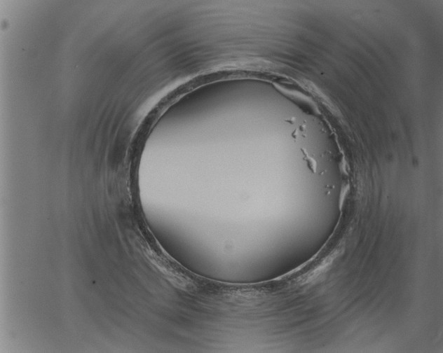 X0000066530830200603311818