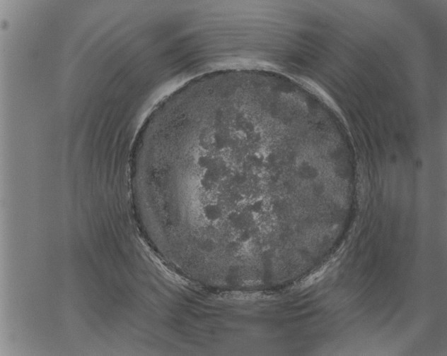 X0000066530831200603311818