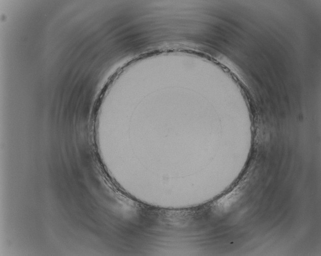 X0000066530832200603311818