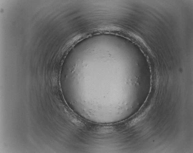 X0000066530833200603311818