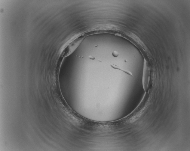 X0000066530834200603311818