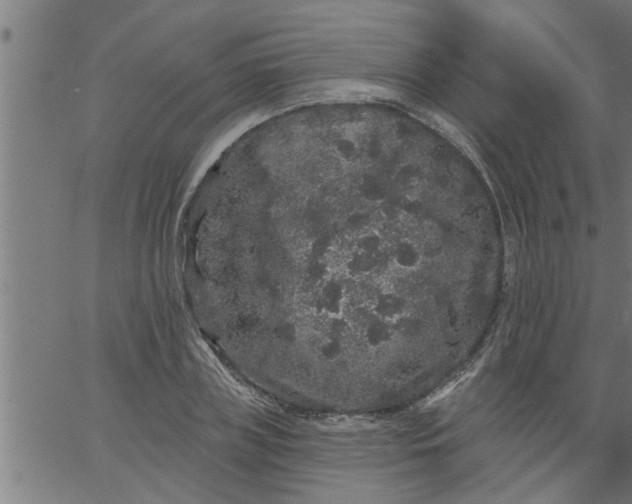 X0000066530835200603311818