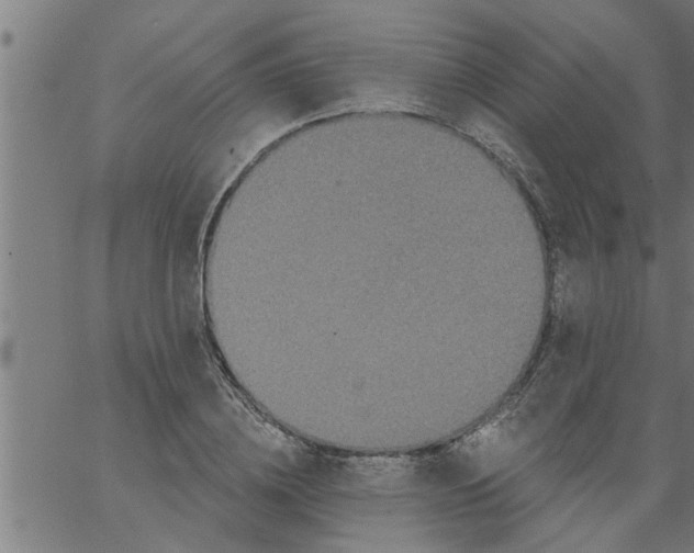 X0000066530836200603311818