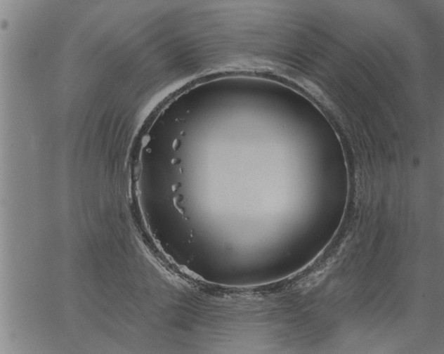 X0000066530838200603311818