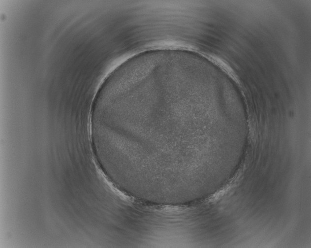 X0000066530839200603311818