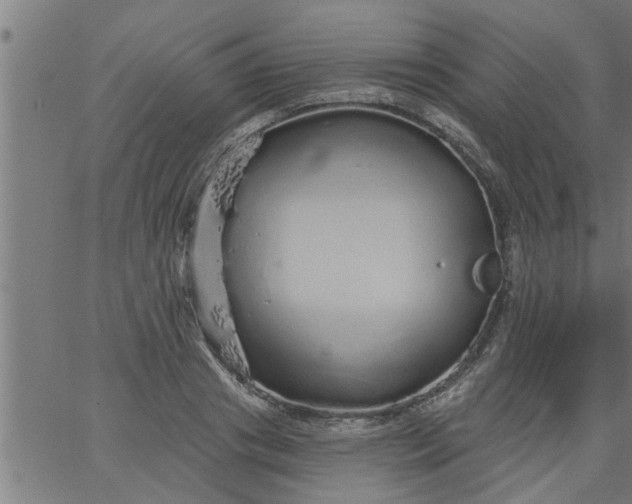 X0000066530841200603311818