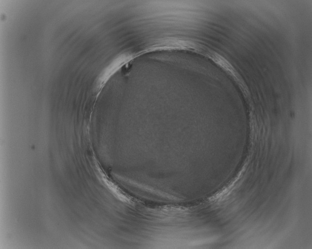 X0000066530842200603311818