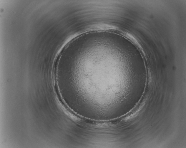 X0000066530843200603311818