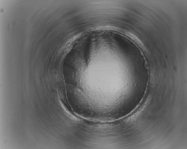 X0000066530849200603311818