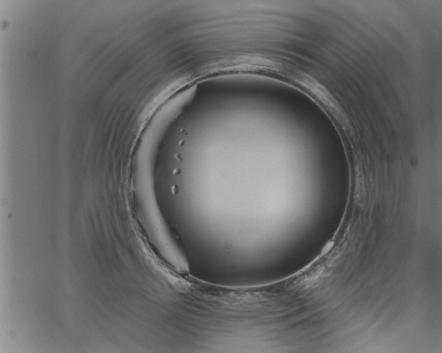 X0000066530850200603311818