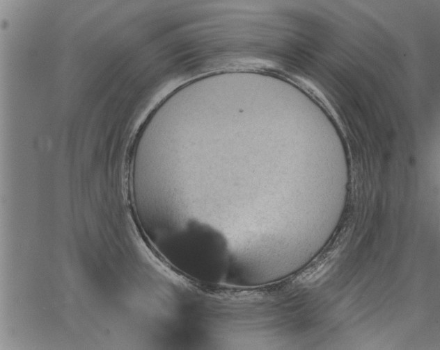 X0000066530851200603311818