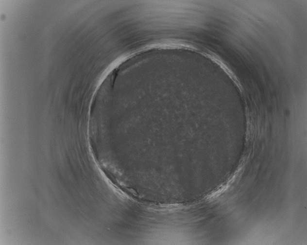 X0000066530853200603311818