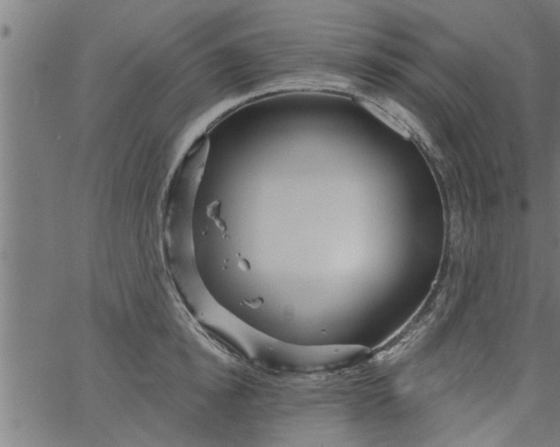 X0000066530854200603311818