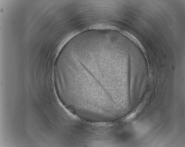 X0000066530855200603311818