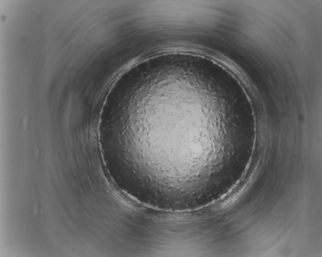 X0000066530857200603311818