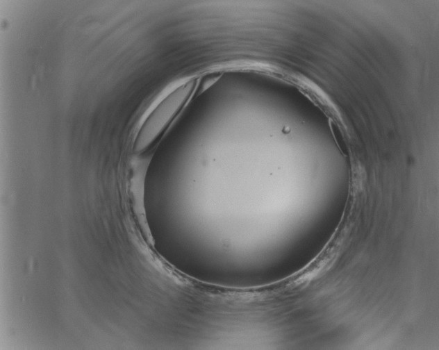 X0000066530860200603311818