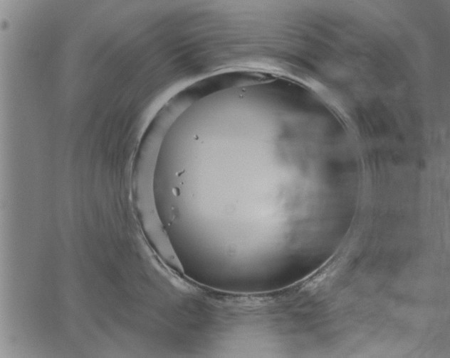 X0000066530862200603311818