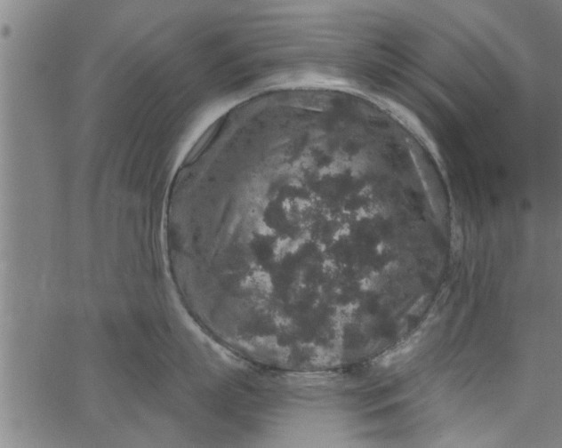 X0000066530863200603311818