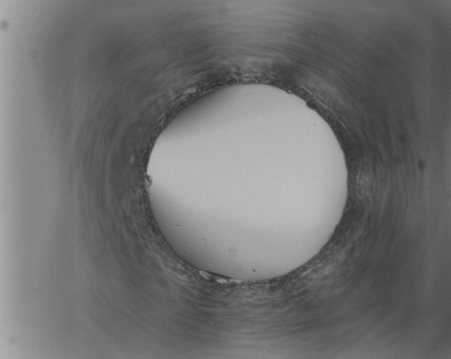 X0000066530865200603311817