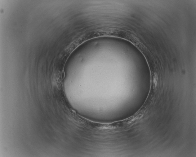 X0000066530867200603311817