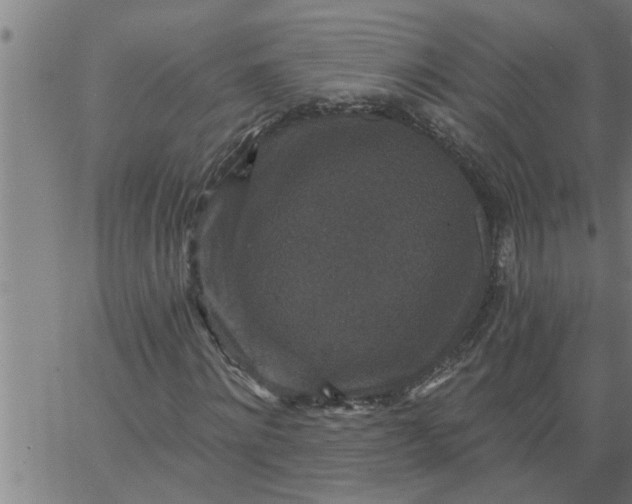 X0000066530868200603311817