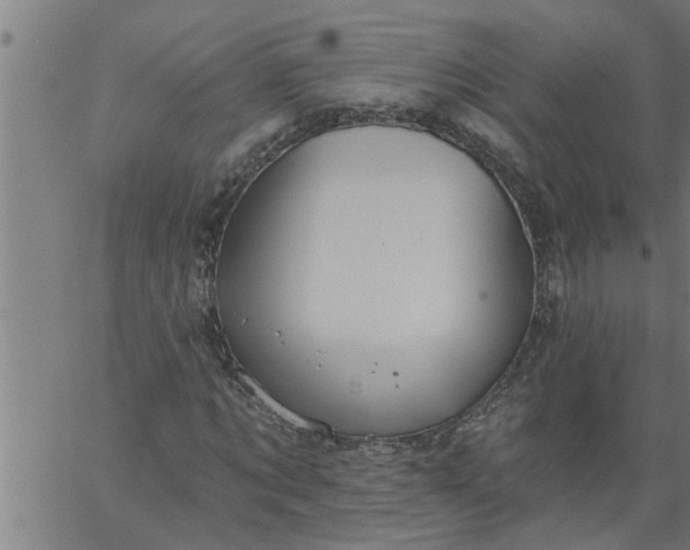 X0000066530869200603311817