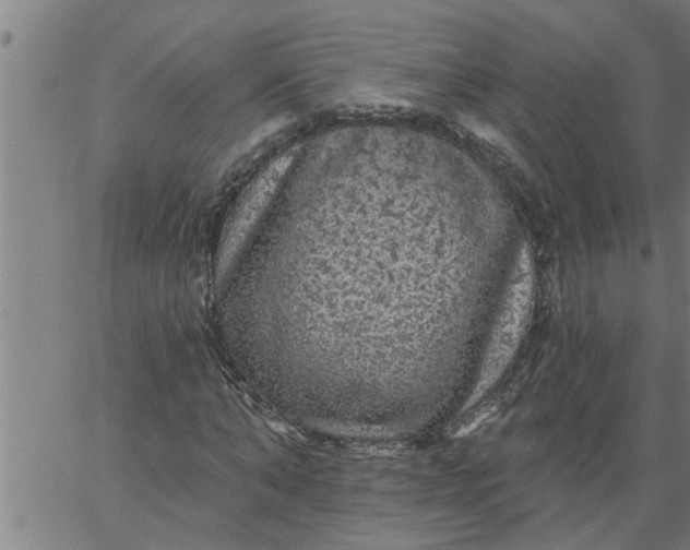 X0000066530870200603311817