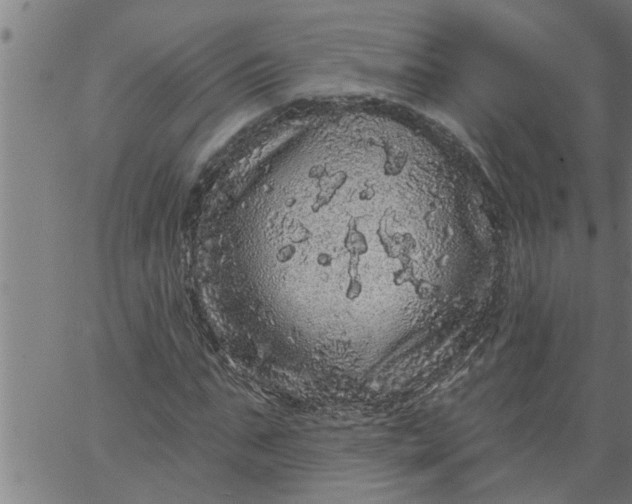 X0000066530871200603311817