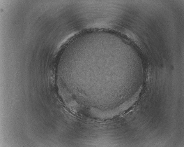 X0000066530872200603311817