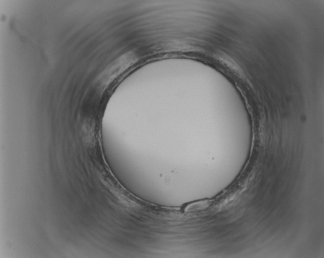 X0000066530873200603311817