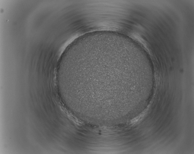 X0000066530875200603311817