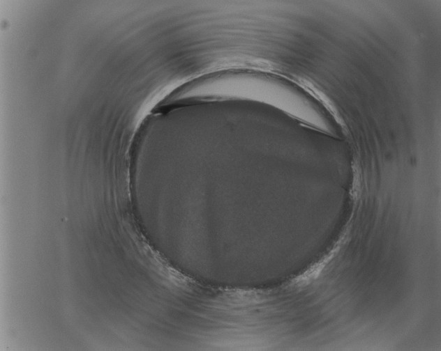 X0000066530877200603311817