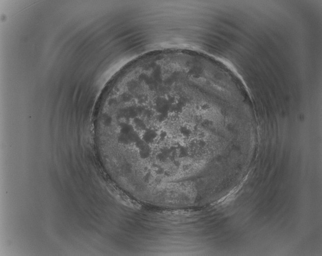 X0000066530879200603311817