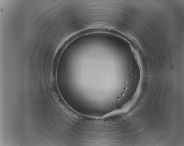 X0000066530880200603311817