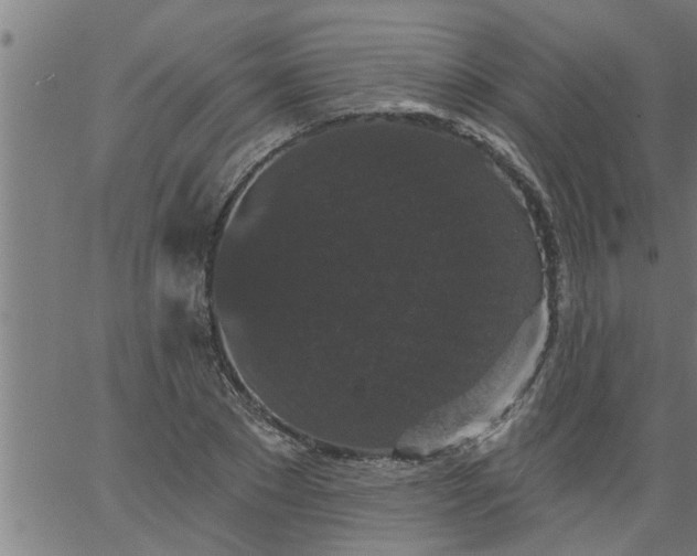 X0000066530881200603311817