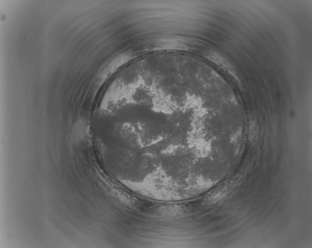 X0000066530882200603311817