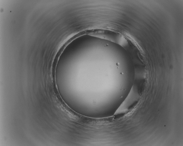 X0000066530884200603311817