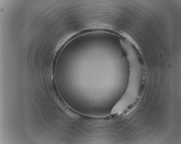 X0000066530885200603311817