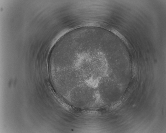 X0000066530886200603311817