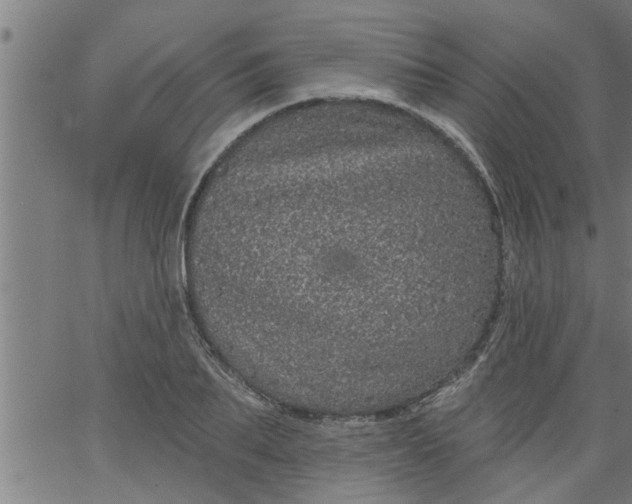 X0000066530887200603311817