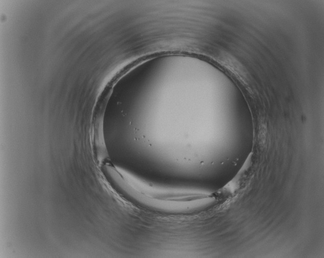 X0000066530888200603311817