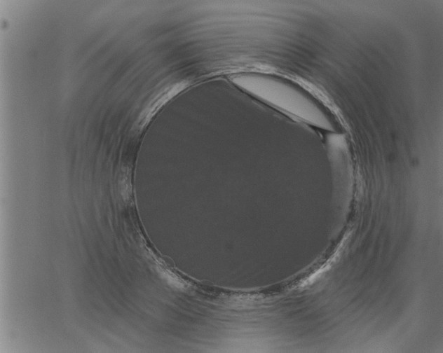 X0000066530889200603311817