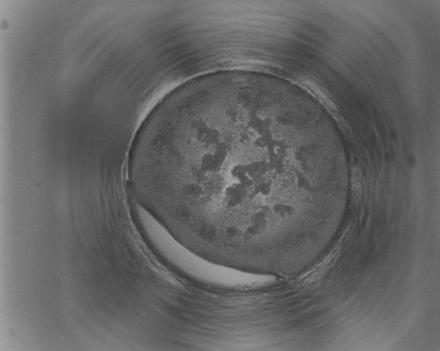 X0000066530891200603311817